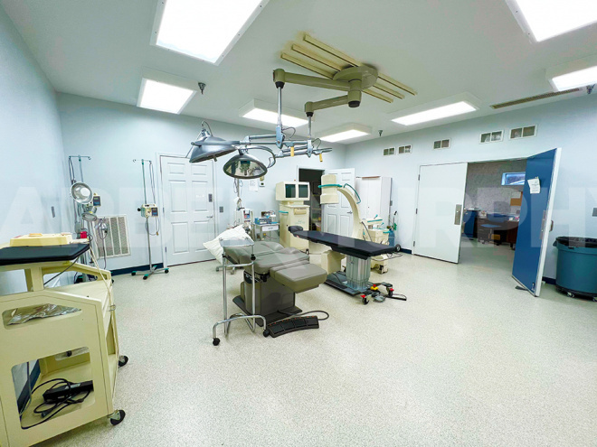 Surgery and Operating Room