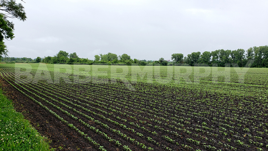 3904 Alcoa Ave, Cahokia Heights, Illinois 62207<br> St. Clair County, ,Land,For Sale,Alcoa