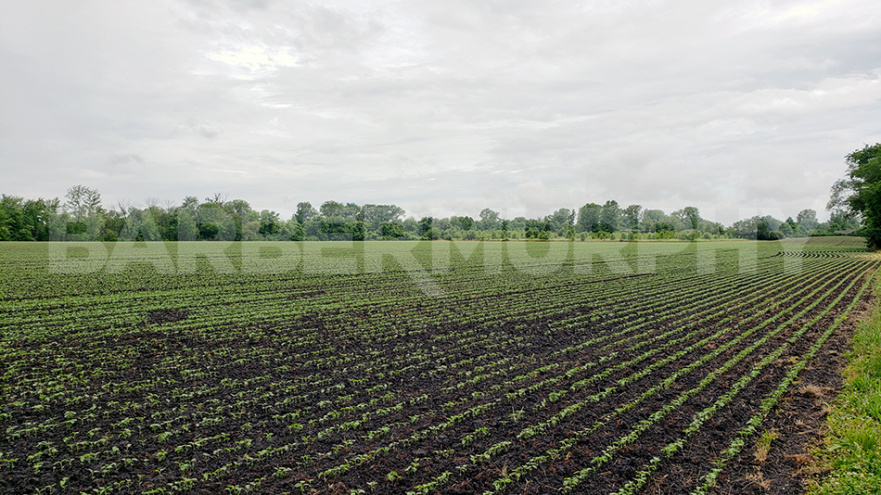 3904 Alcoa Ave, Cahokia Heights, Illinois 62207<br> St. Clair County, ,Land,For Sale,Alcoa