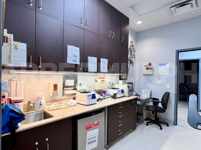 lab