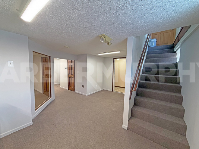 Suite 8