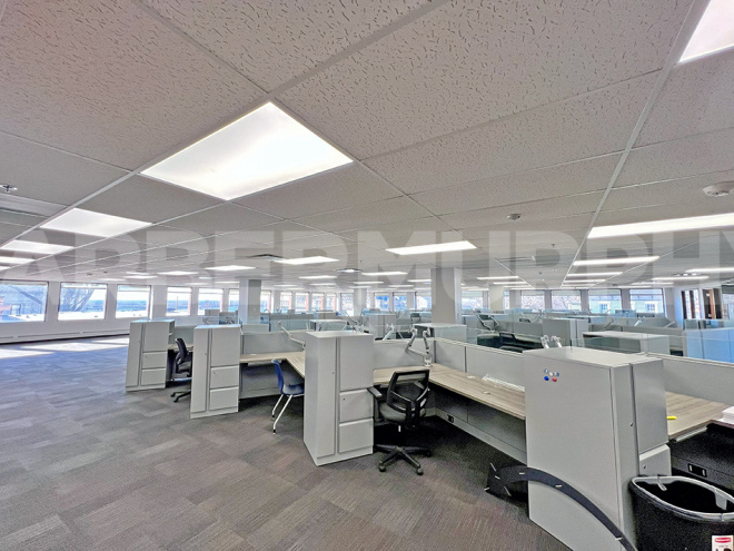 Suite 250 - Cubicles