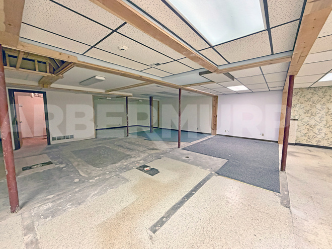 Lower Level Open Area