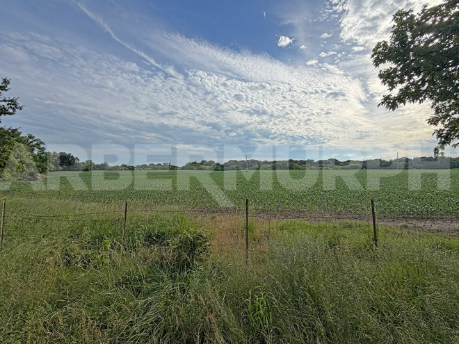 Farm Ground