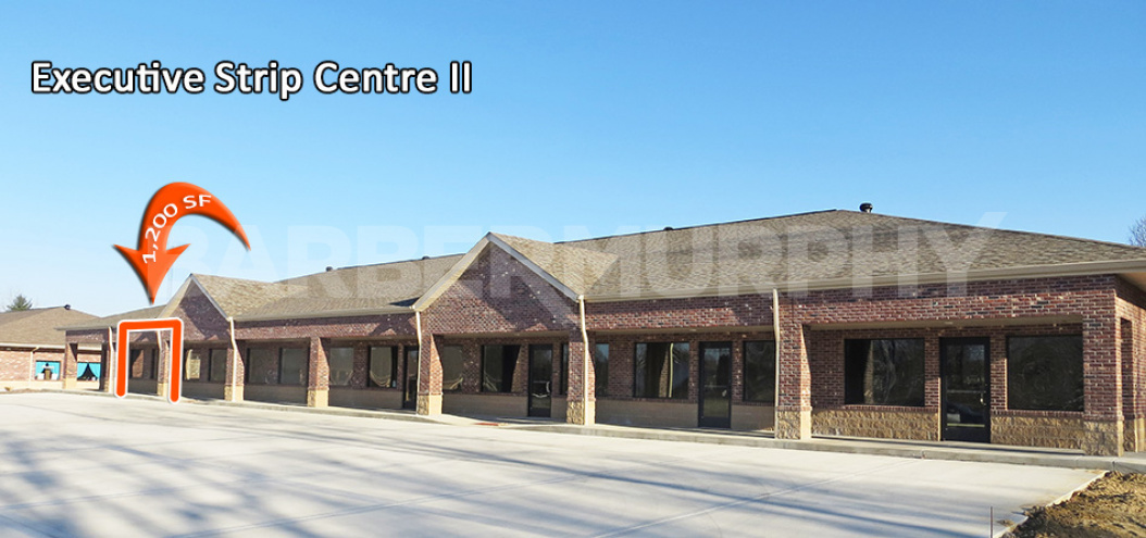 Executive Strip Centres, Executive Plaza Ct, Maryville, IL